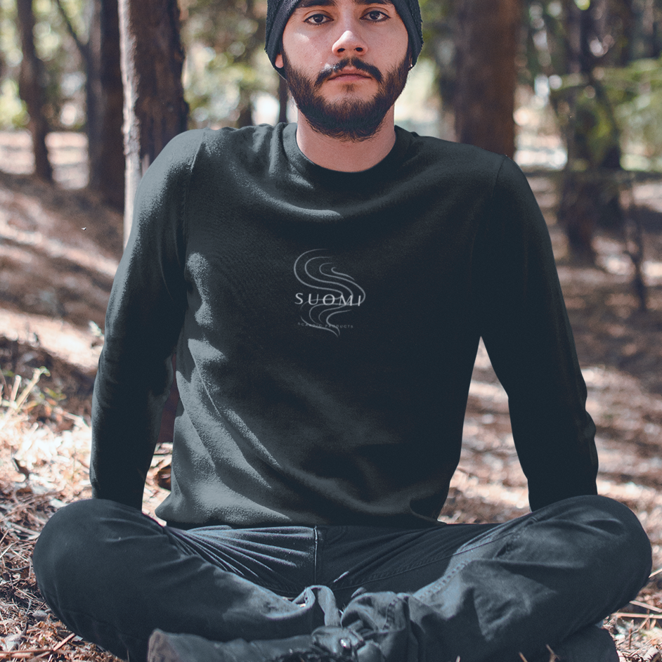 Scandic online pullover men