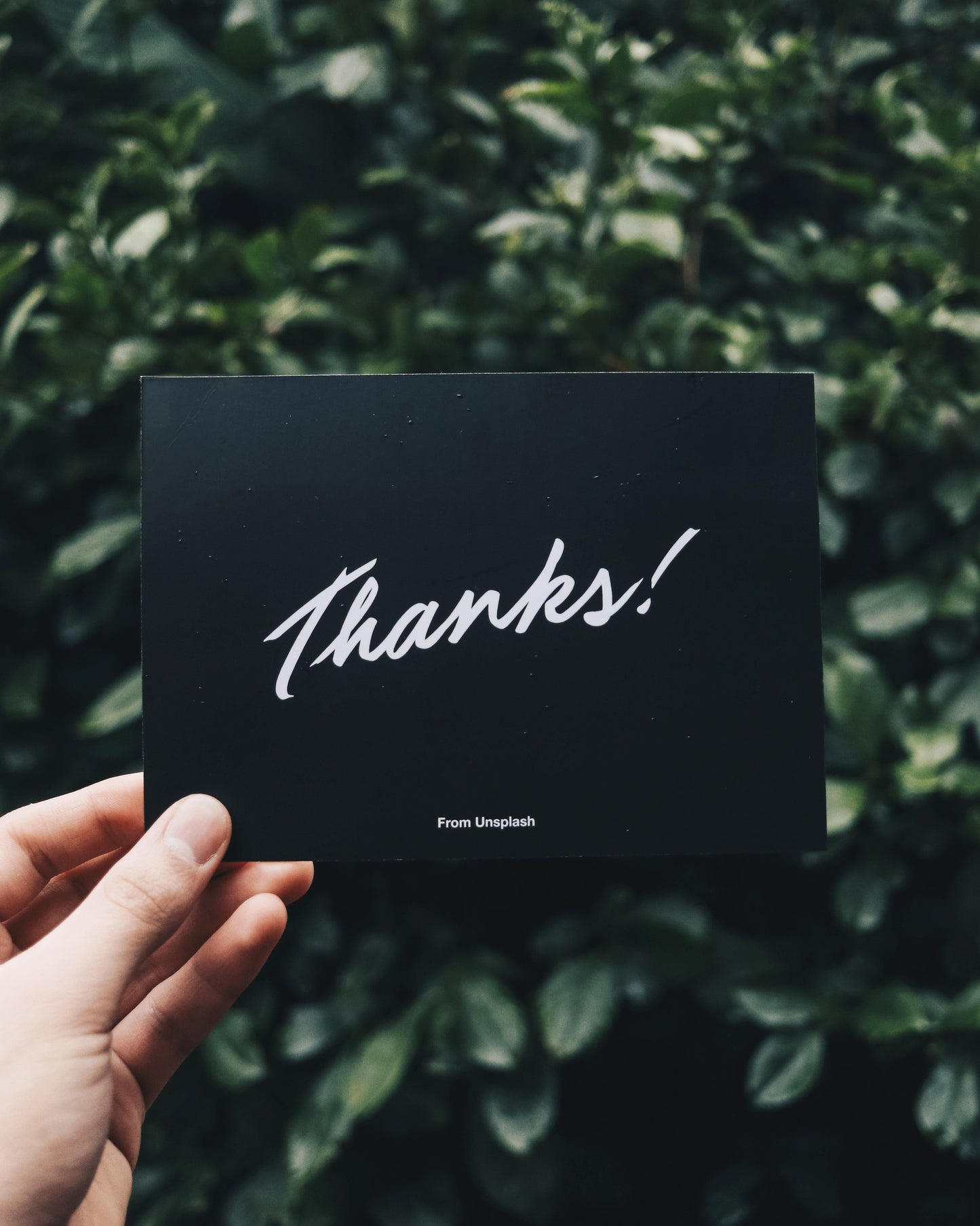 Scandic Products Gift Card