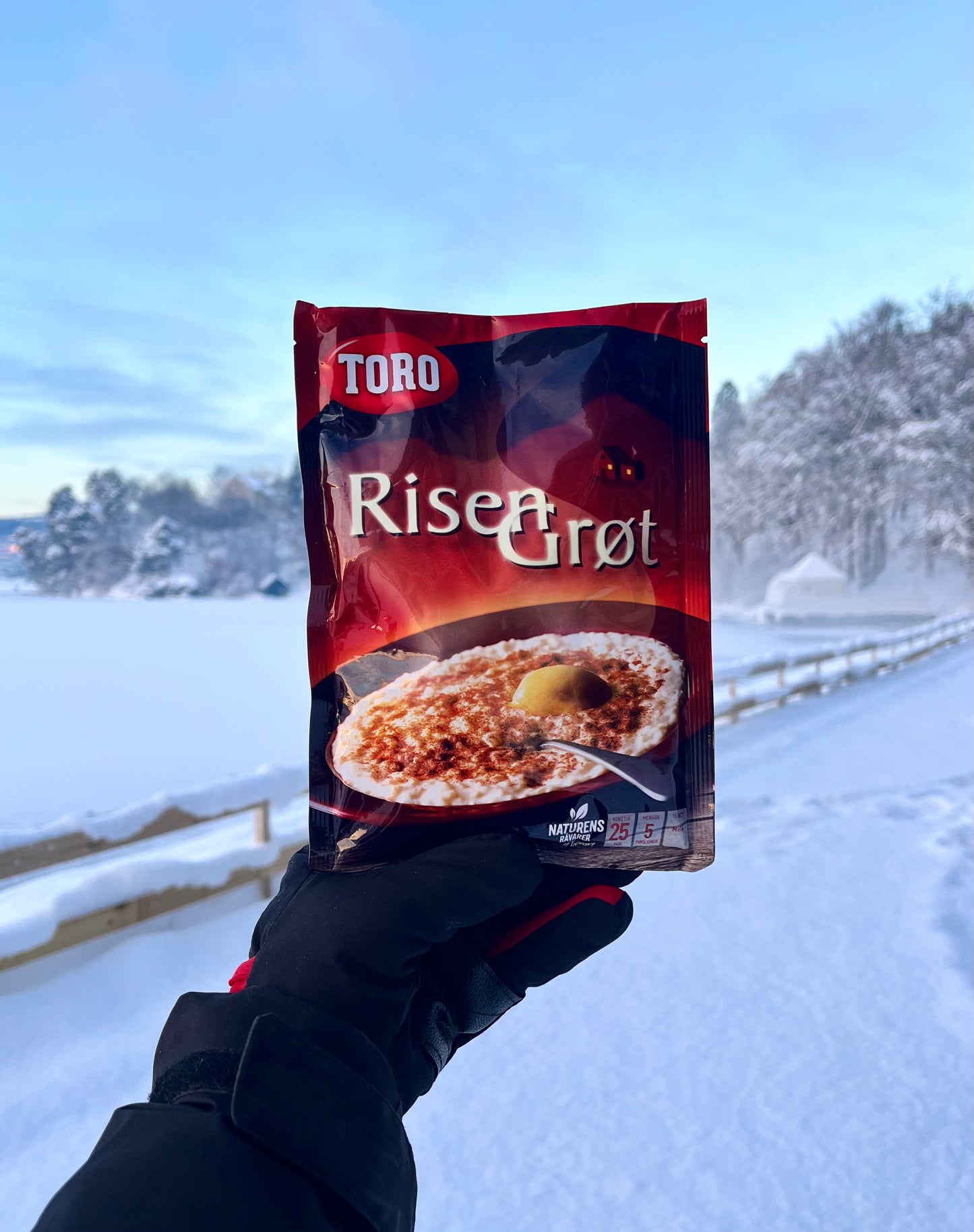 Toro Risengrot - Risengrynsgrøt (Risengrøt) - Rice Pudding/Rice Porridge 258 Grams (9.1 oz)